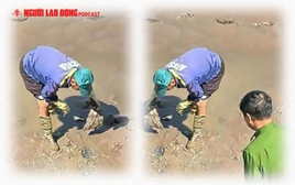 Bất ngờ phát hiện bộ hài cốt bí ẩn