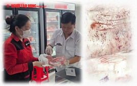Vụ C.P Việt Nam bị tố bán heo bệnh: Người đóng dấu kiểm dịch sai tường trình gì?
