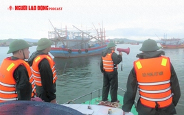 Bão số 5 dự báo đổ bộ vào khu vực nào?