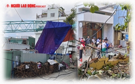 Nguyên nhân cần cẩu gãy đè sập tường rào Bảo tàng điêu khắc Chăm