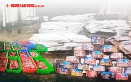 Hàng trăm tấn thịt heo bệnh tuồn vào Công ty cổ phần đồ hộp Hạ Long