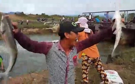 Clip: Người dân Bình Thuận thi nhau bắt cá dưới đập thủy lợi