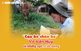 “Cậu bé chăn bò” Võ Văn Huy và những ngã rẽ ấn tượng