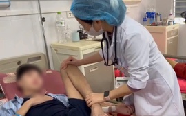 Vết thương do heo cắn khiến bé trai 14 tuổi nguy kịch