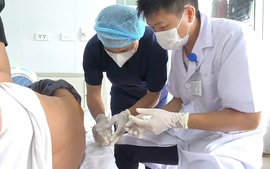 Đi khám vì đau đầu, ba người cùng nhiễm ký sinh trùng từ thú cưng