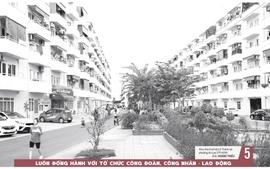 Báo in ngày 17-1: “Ma trận” pháo online: Coi chừng mua nhầm hàng cấm