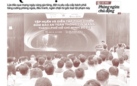 Báo in ngày 4-1: Ngăn chặn lừa đảo qua mạng từ gốc