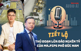 Audio: Shark Bình dùng Ngân Lượng rửa tiền cho đường dây lừa đảo của Mr Pips như nào?