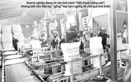 Báo in ngày 25-3: Không còn “thích gì nói nấy” trên mạng