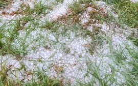 CLIP: Mưa đá dồn dập ở vùng cao Quảng Ngãi, phủ trắng mặt đất 