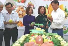Sau Đồng Tháp, đến lượt trái xoài vùng núi An Giang "tràn" vào thị trường Mỹ Sau Đồng Tháp, đến lượt trái xoài vùng núi An Giang "tràn" vào thị trường Mỹ