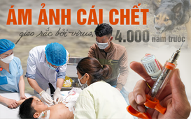 Ám ảnh cái chết gieo rắc bởi virus 4.000 năm trước