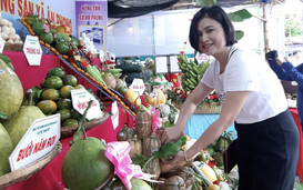 Tưng bừng Ngày hội nông sản tại “thủ phủ” cây ăn quả của Bình Định