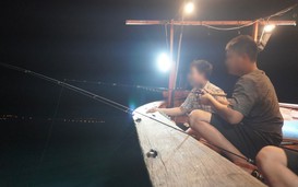 Nở rộ tour câu mực "chui" ở bán đảo Sơn Trà