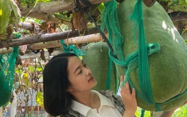 Sản vật trứ danh bàu Chánh Trạch