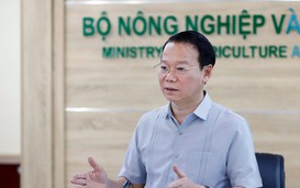 Xuất khẩu sầu riêng sang Trung Quốc sụt giảm nghiêm trọng, Bộ Nông nghiệp và Môi trường họp bàn