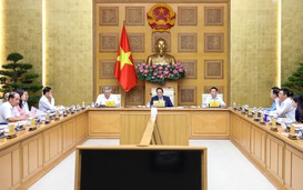 Phản ứng linh hoạt, kiên định mục tiêu