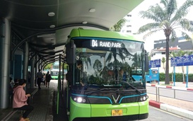 TP HCM sắp đưa hơn 250 xe buýt điện vào hoạt động