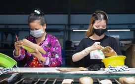 Đóng góp nhiều ý kiến tâm huyết