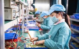 Chuyển động tất yếu