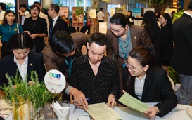 Giá nhà đất Hà Nội vẫn tăng nóng, TP HCM sôi động giao dịch sau sáp nhập
