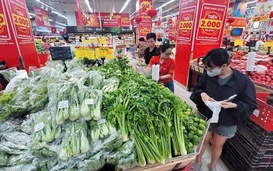 Đòi hỏi thuế thu nhập sát cuộc sống
