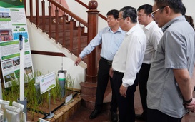 Đề xuất thí điểm 15 vùng trồng trọt phát thải thấp, giá bán tăng từ 10% - 25%