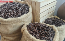 Giá cà phê hôm nay 4-7: Robusta tăng, Arabica giảm, Việt Nam xuất khẩu lập kỷ lục khó tin