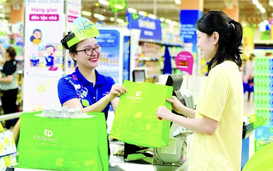 Expanding Vietnam’s green consumer ecosystem