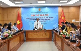 Overseas Vietnamese youth camp: Continuing the story of peace