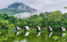Quả ngọt đến từ sự chủ động