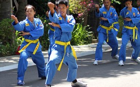 Vovinam lan tỏa khắp Đông Nam Á