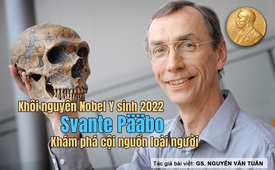 Phân tích đặc biệt về Giải Nobel Y sinh 2022