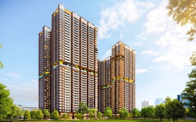 Nhật Bản công bố ra mắt “Thành phố nước - thuỷ liệu” tại TP HCM