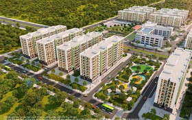 Gia đình đa thế hệ chọn The Rise để mỗi thành viên đều có khoảng trời riêng