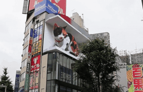 Chú mèo 3D nói tiếng người xuất hiện ở nhà ga Nhật Bản