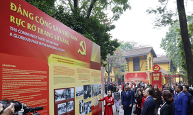 Từ ý chí đến hành động