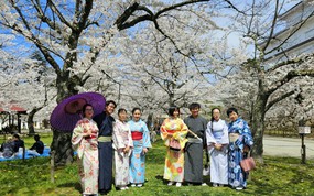 Khách Việt trải nghiệm mặc kimono, ngắm hoa anh đào ở Nhật Bản