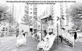 Báo in ngày 3-6: Giải pháp đặc biệt thi hành án vụ Trương Mỹ Lan