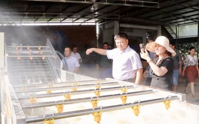 Tiếp sức cho nông nghiệp phát triển bền vững