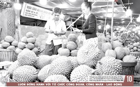 Báo in ngày 16-6: Mẩu giấy trên mâm cơm để phần