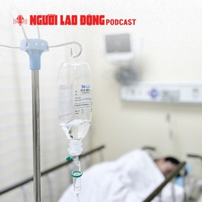 Công bố nguyên nhân vụ ngộ độc bánh mì Cô Bích