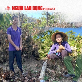 Diễn biến mới vụ anh rể phá vườn cây để "đòi quan hệ với em vợ"