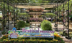 Sẵn sàng cho Festival Hoa lan TP HCM lần II – 2023