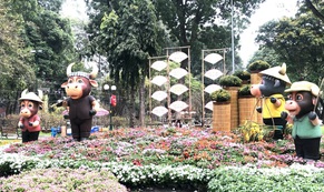 Khai mạc Hội Hoa Xuân Tân Sửu tại công viên Tao Đàn