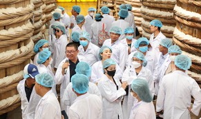 12 tháng ròng, hơn 26.000 tấn cá, hàng triệu chai nước mắm Chin-su, Nam Ngư mỗi năm