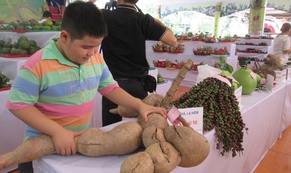 “Hội thi Trái ngon – An toàn Nam Bộ” trở lại