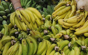 Chữa viêm loét đường tiêu hóa