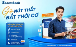 Từ hộ kinh doanh đến doanh nghiệp: Đón cơ hội tăng trưởng dài hạn