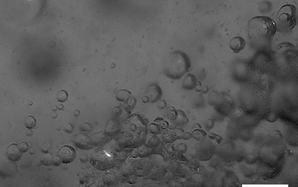 Hé lộ bí ẩn của hiện tượng "ma trơi"